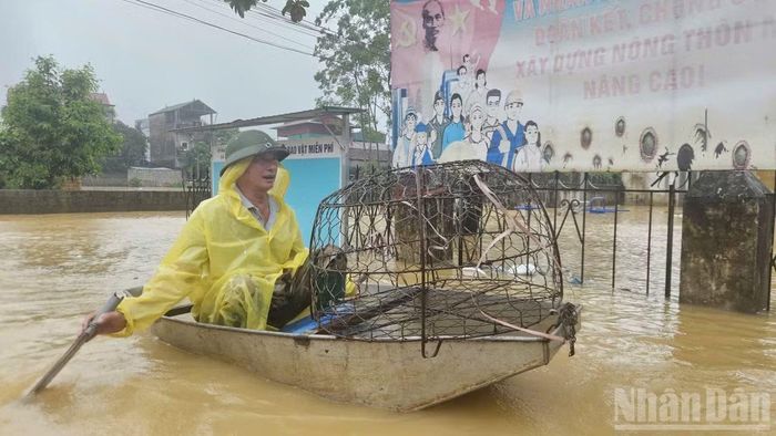 Người dân xã Quảng Bị (Hà Nội) chèo thuyền nhỏ tự chế để di chuyển trong ngày 17/9.