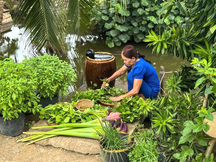 Một sàn nước ở miền Tây. Ảnh: CHUYỆN NHÀ ÚT TÌNH