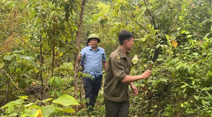 Cán bộ xã Yên Na phát dọn mở đường tạm vào 2 bản bị cô lập
