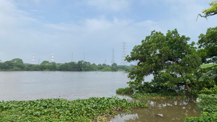  Sông Đáy nhìn từ xã An Khánh sang xã Hưng Đạo (cùng thuộc TP Hà Nội). Ảnh: PHÚC HẬU 