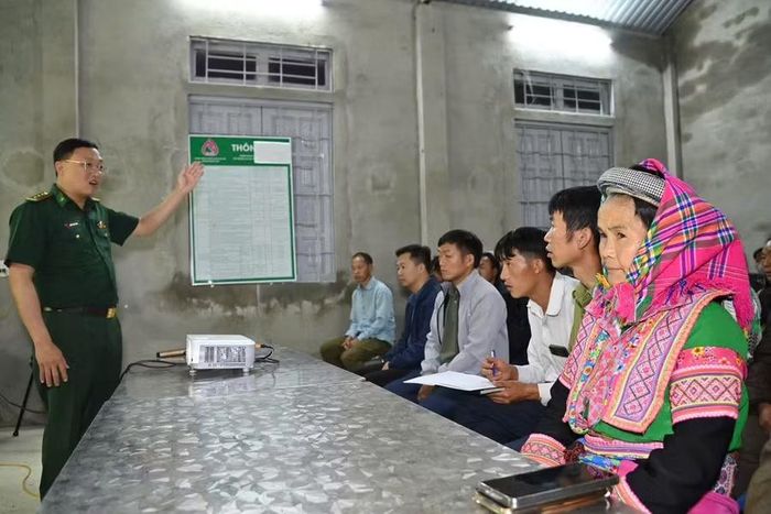 Các hộ dân được hướng dẫn kỹ thuật trồng sâm Lai Châu.