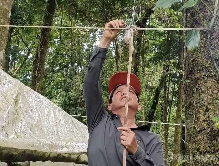 Người dân đặt bẫy chuột