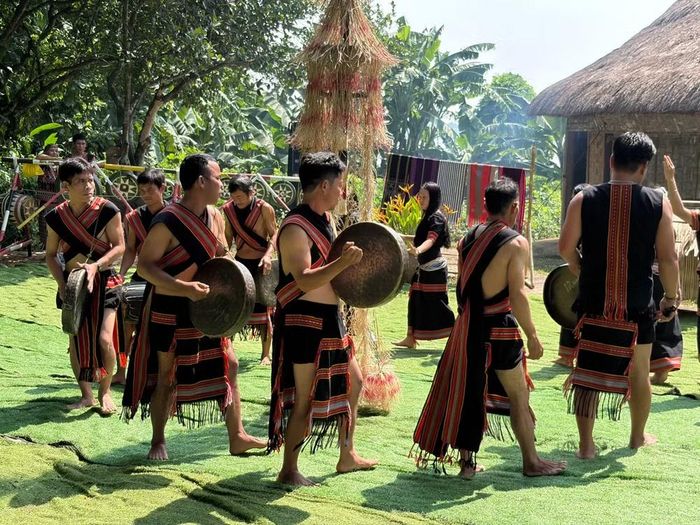 Sôi nổi các hoạt động văn hoá của đồng bào Giẻ Triêng trong Lễ hội “Ăn mừng lúa mới”. Ảnh: BTC