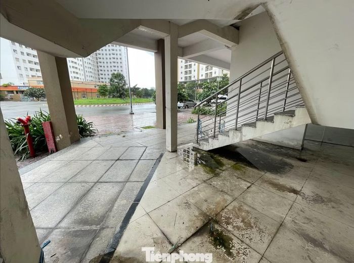 Khu tái định cư Bình Khánh vắng bóng người ở, hoang hoá lâu ngày.