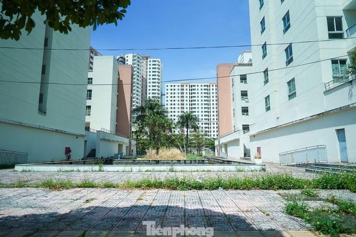 Mới đây, UBND TPHCM đã ban hành kế hoạch tổ chức đấu giá 3.790 căn hộ tái định cư tại phường An Khánh.