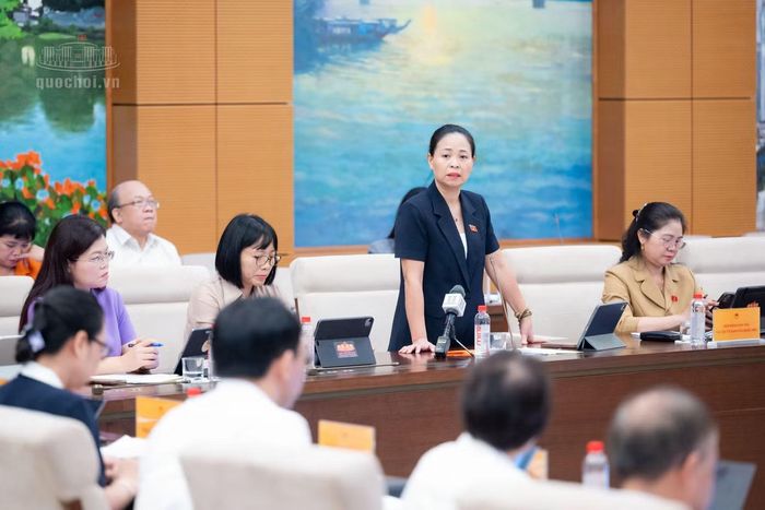 Đại biểu Quốc hội nêu vấn đề tại phiên giải trình. (Ảnh: QH)