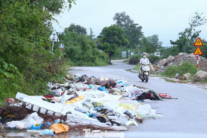 Tại đường Vĩnh Giang, tuyến đường ven đê sông Lam, rác ngổn ngang ra giữa lòng đường.