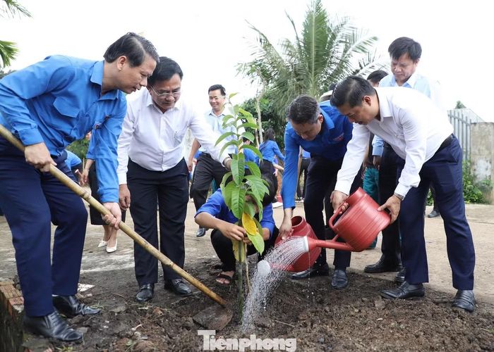 Các đại biểu tham gia trồng cây xanh.