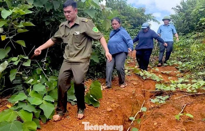 Trưa 20/9, ông Thái Lương Thiện - Chủ tịch UBND xã Yên Na, tỉnh Nghệ An - cho biết, địa phương đã huy động hàng chục người tìm cách mở đường, dựng cầu tạm để tiếp cận hơn 1.000 người dân ở 2 bản của xã bị cô lập sau trận sạt lở núi.