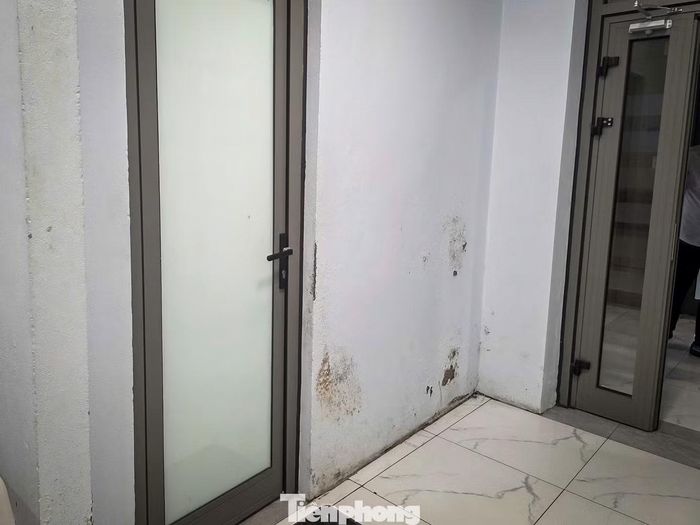 Không chỉ xảy ra tình trạng thấm dột, một số khu vực trong bệnh viện còn xuất hiện tình trạng ẩm mốc trên tường và trần.