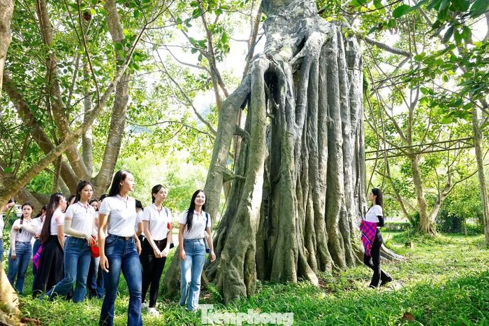  Từ bài học trên trang sách đến trải nghiệm thực tế, các thí sinh có dịp nhìn lịch sử trong chính không gian từng diễn ra những sự kiện quan trọng. Ảnh: Như Ý. 