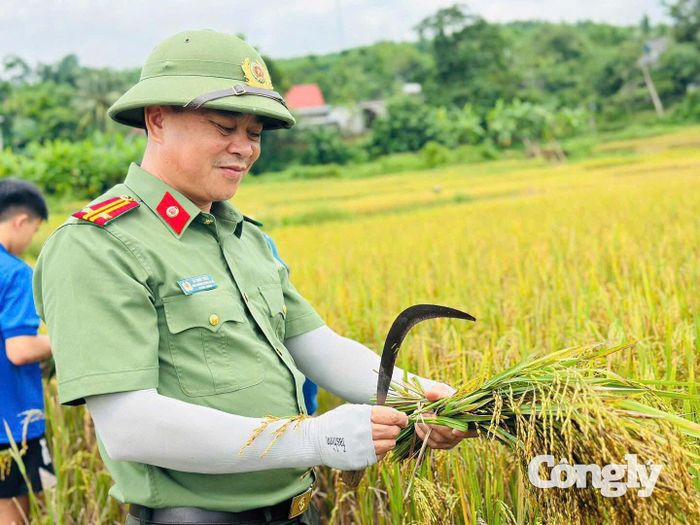 Những bộ quân phục lấm bùn trên đồng lúa trở thành hình ảnh đẹp về tinh thần “Vì Nhân dân phục vụ”.