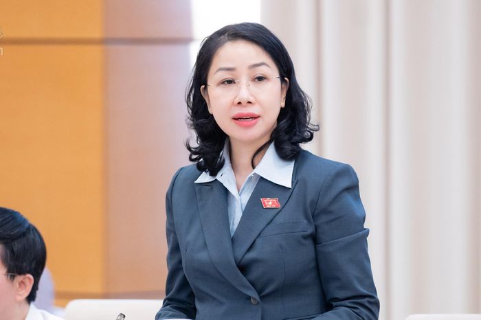 Đại biểu Phan Thị Thùy Linh.