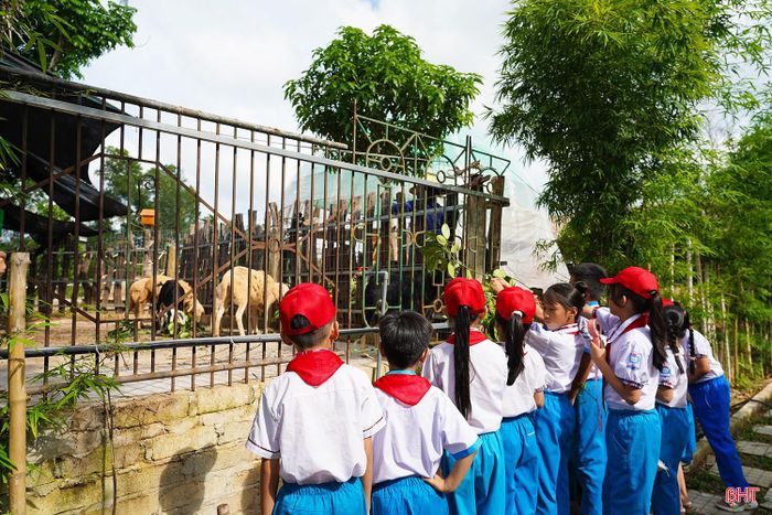 “Mỗi ngày, vườn thú bố trí nhân viên chăm sóc, vệ sinh chuồng trại và đảm bảo nguồn thức ăn để vật nuôi phát triển tốt. Thời gian tới, chúng tôi tiếp tục bổ sung thêm nhiều loài động vật mới như ngựa trắng, đà điểu, hươu sao… đồng thời hoàn thiện thêm các khu vực để đa dạng trải nghiệm cho du khách” - chị Lê Thị Hiền (Khu du lịch sinh thái Đá Bạc Eco) cho biết thêm.