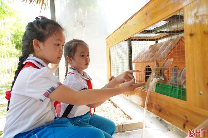 Các em có thể quan sát, tương tác và cho vật nuôi ăn dưới sự hướng dẫn của nhân viên vườn thú. Qua đó, giúp các em có thêm những trải nghiệm thực tế về thế giới động vật.