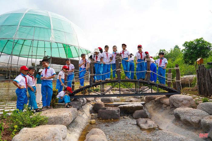 Tại vườn thú còn được bố trí các tiểu cảnh, suối nước, cầu và nhiều hạng mục phụ trợ, tạo thêm điểm nhấn cho cảnh quan.
