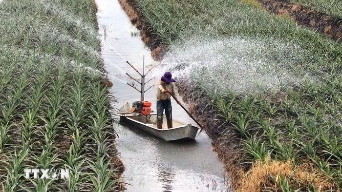 Các vấn đề về nước và an ninh nguồn nước nằm trong chương trình nghị sự phát triển bền vững của Liên hợp quốc. Việt Nam hưởng ứng bằng các hoạt động nâng cao nhận thức và sử dụng bền vững tài nguyên nước. (Ảnh: TTXVN)