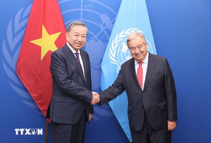 Nhân dịp tham dự Đại hội đồng Liên hợp quốc Khóa 79 và làm việc tại Hoa Kỳ, chiều 24/9/2024, giờ địa phương (sáng 25/9, giờ Việt Nam), tại thành phố New York, Tổng Bí thư, Chủ tịch nước Tô Lâm gặp Tổng thư ký Liên hợp quốc Antonio Guterres. (Ảnh: Lâm Khánh/TTXVN)
