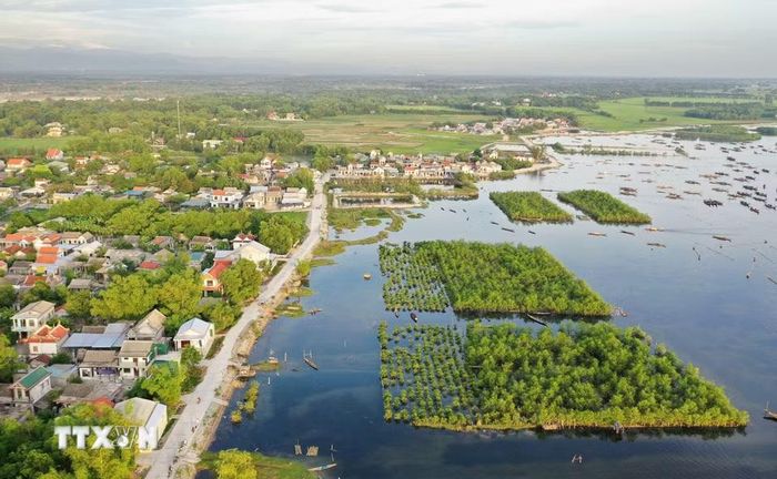 Phục hồi hệ sinh thái là một hướng hành động quan trọng nhằm ngăn chặn suy thoái môi trường, bảo vệ đa dạng sinh học và nâng cao khả năng thích ứng với biến đổi khí hậu. Trong ảnh: Rừng ngập mặn ven đầm phá Tam Giang phát triển xanh tốt nằm án ngữ trước những ngôi làng ở khu vực xã Quảng Lợi (thành phố Huế) không chỉ góp phần bảo vệ môi trường sinh thái, giúp tích lũy phù sa, tạo điều kiện phát triển sinh kế cho người dân mà còn tạo thành những điểm du lịch hấp dẫn, thu hút du khách tham quan. (Ảnh: Hồ Cầu/TTXVN)