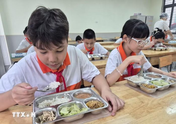 Bữa ăn bán trú phải đảm bảo các điều kiện về an toàn thực phẩm, chất lượng và thời gian phục vụ. (Ảnh: Nguyễn Cúc/TTXVN)