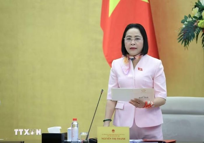 Phó Chủ tịch Quốc hội Nguyễn Thị Thanh phát biểu chỉ đạo tại phiên giải trình. (Ảnh: Tuấn Anh/TTXVN)