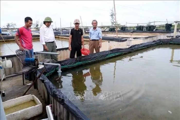 Do tình trạng sạt lở, xâm thực, nhiều hộ nuôi trồng thủy sản sát bãi biển tại thôn Mỹ Thủy gặp nhiều khó khăn, có thời điểm phải bán ốc non với giá thấp, gây thiệt hại kinh tế.