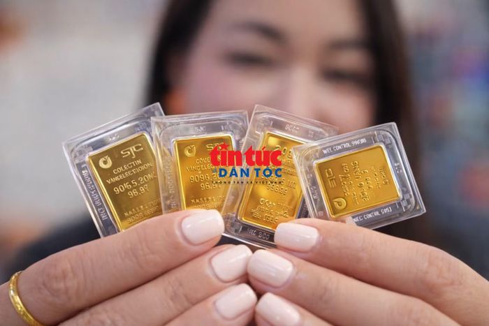 Cần có kỷ luật đầu tư để sinh lời hiệu quả.
