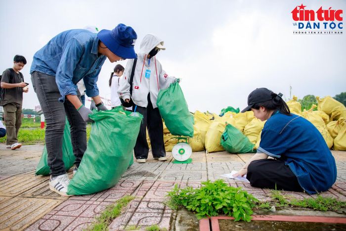 Rác được đưa về điểm tập kết để phân loại theo từng nhóm trước khi chuyển đi xử lý.