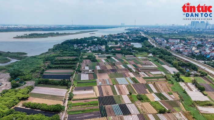 Theo định hướng quy hoạch, Trục đại lộ cảnh quan sông Hồng có tổng diện tích nghiên cứu khoảng 11.418 ha, dân số dự báo từ 800.000 đến 1,2 triệu người. Chỉ tiêu sử dụng đất dân dụng khoảng 55 m2/người, trong đó đất ở khoảng 15 m2/người.