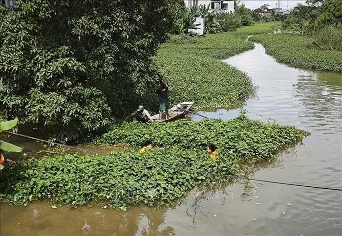 Lực lượng thủy lợi Thanh Hóa tập trung xử lý vật cản, tạo điều kiện cho dòng nước lưu thông, góp phần tiêu thoát nước tại các khu dân cư và diện tích sản xuất nông nghiệp bị ảnh hưởng bởi mưa lớn.
