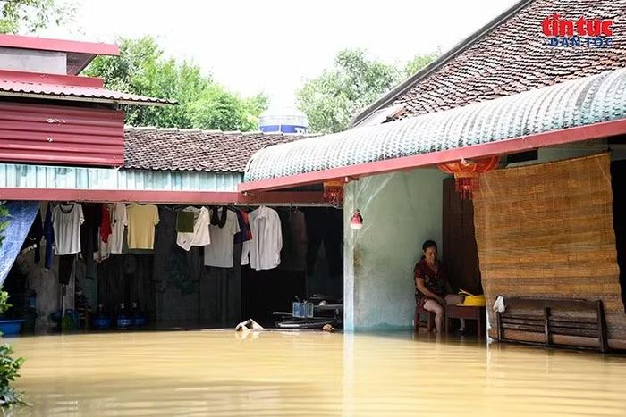 Nước lũ tràn sâu vào sân nhà, khuôn viên chìm trong nước.