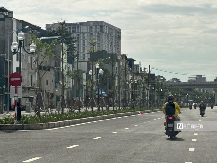 Tuyến đường dài khoảng 2.274m, mặt cắt ngang 50m, điểm đầu tại nút giao Cát Linh - La Thành - Yên Lãng (Hoàng Cầu), điểm cuối tại nút giao Voi Phục.