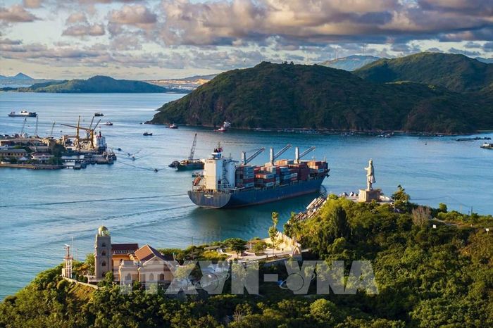 Tàu container ra vào Cảng Quy Nhơn - cửa ngõ xuất nhập khẩu chủ lực hàng hóa của Tây Nguyên, là điểm đầu trong hệ thống logistics của tỉnh Gia Lai. Ảnh: Dũng Nhân - TTXVN phát