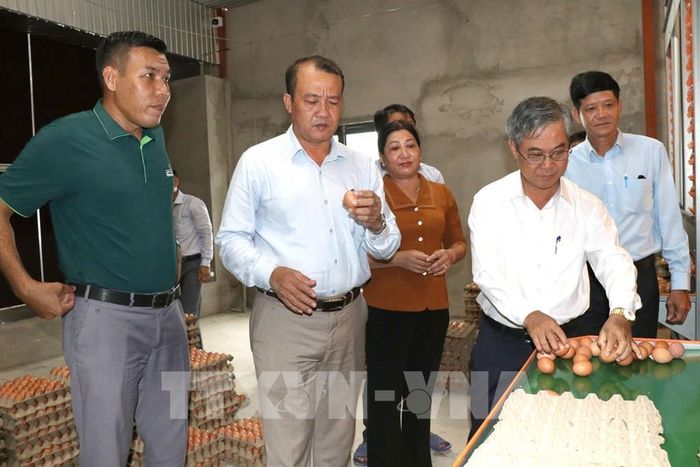 Lãnh đạo UBND tỉnh và Sở Nông nghiệp và Môi trường tỉnh Vĩnh Long cùng chính quyền địa phương khảo sát mô hình nuôi gà đẻ trứng của Công ty TNHH Chăn nuôi Công nghệ cao 168 ở xã Tam Ngãi. Ảnh: Thanh Hòa - TTXVN