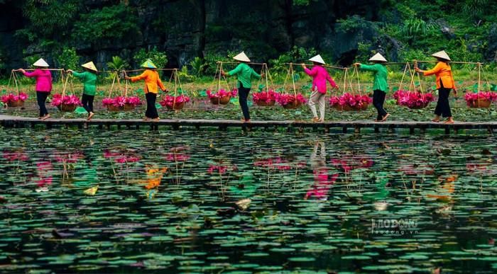 Ảnh: báo Lao Động