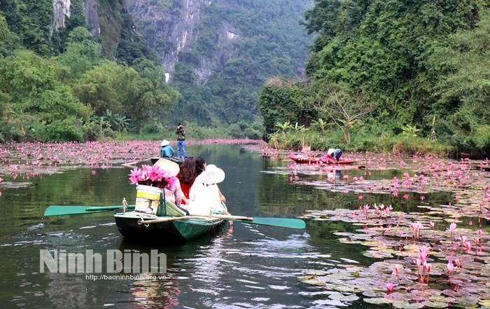 Ảnh: báo Ninh Bình