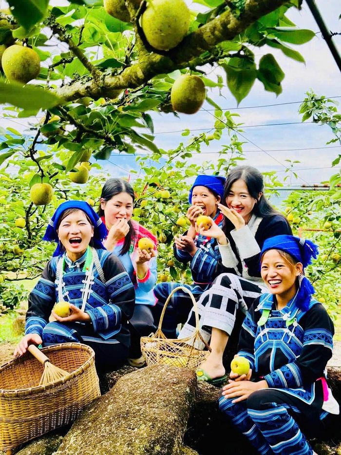 ThS Vũ Kim Oanh và các chị em dân tộc thiểu số xã Mường Hum, tỉnh Lào Cai ở vườn lê Nậm Pung