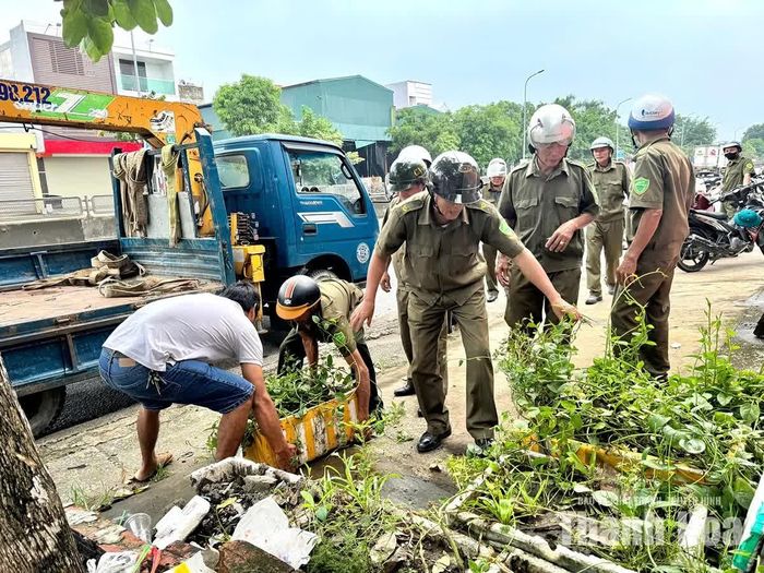 Thu gom cây xanh, vật dụng lấn chiếm vỉa hè, trả lại không gian giao thông thông thoáng.