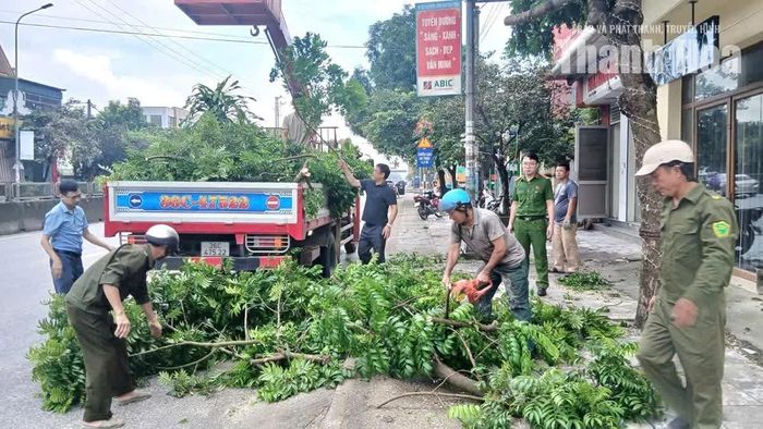 Cắt tỉa cây xanh, xử lý các vị trí tiềm ẩn nguy cơ mất an toàn giao thông.