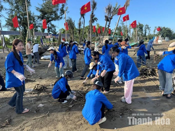 Đoàn viên thanh niên tham gia làm sạch biển.