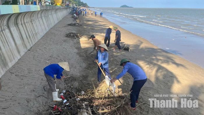 Người dân xã Hoằng Tiến tham gia tổng vệ sinh môi trường khu vực bờ biển.