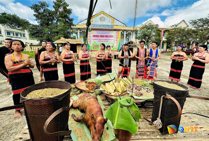 Cộng đồng Tà Riềng ở xã La Dêê sử dụng gùi đựng thóc, phục vụ lễ cúng thần lúa.