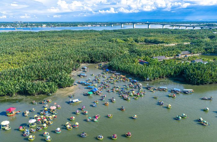 Rừng dừa, sông nước, ruộng đồng và đường làng tạo nên cảnh quan đặc trưng, gắn với đời sống người dân Cẩm Thanh. Ảnh: KIM LIÊN