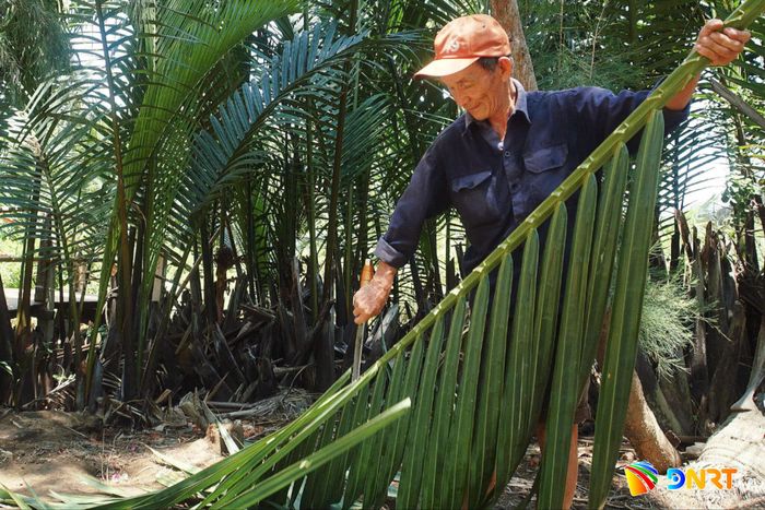 Ông Ngô Thuận gắn bó với nghề làm nhà tre, dừa gần ba mươi năm. Ảnh: KHA MIÊN