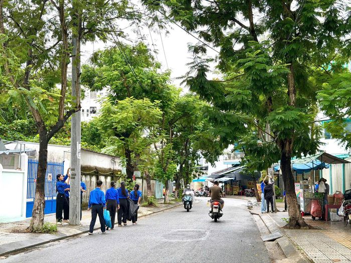 Đồng loạt ra quân Ngày Chủ nhật xanh. Ảnh: ĐVCC