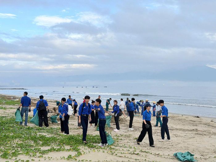Dọn dẹp vệ sinh bãi biển. Ảnh: ĐVCC
