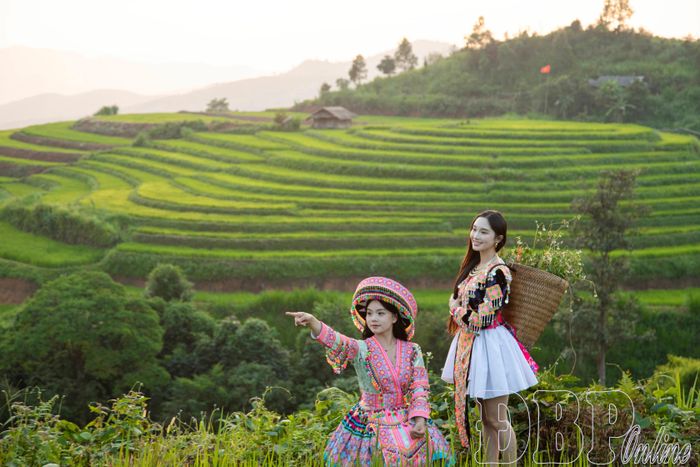 Thiếu nữ dân tộc Mông nổi bật với trang phục truyền thống giữa ruộng lúa xanh mướt.