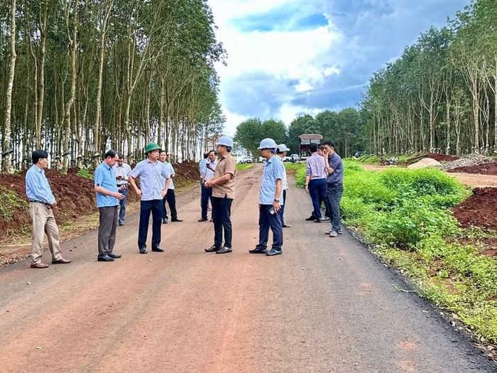Phó Chủ tịch UBND tỉnh Nguyễn Hữu Quế kiểm tra thực tế tình hình thực hiện dự án đường từ Pleiku đi trung tâm xã Đak Đoa. Ảnh: Hà Duy