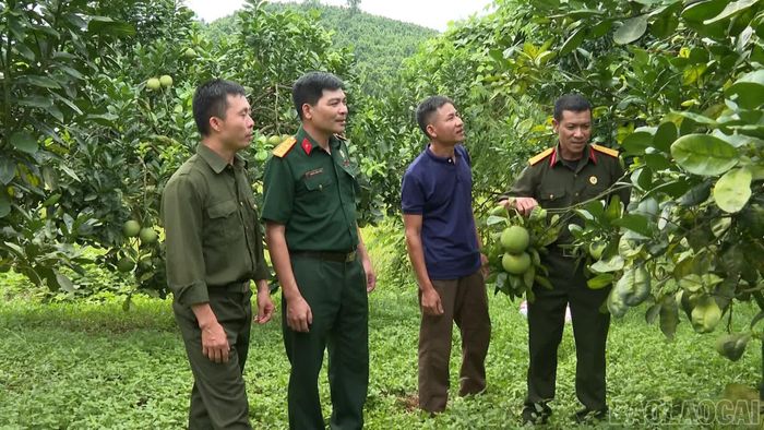 Hội Cựu chiến binh xã Quy Mông tham quan mô hình bưởi của hội viên.