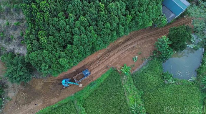 Nhiều vùng sản xuất nông, lâm nghiệp của Phúc Khánh cần tiếp tục được đầu tư đường giao thông để thuận lợi vận chuyển vật tư, nông sản.